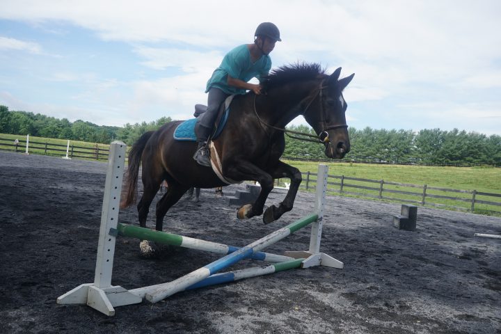 Horseback Riding Lessons