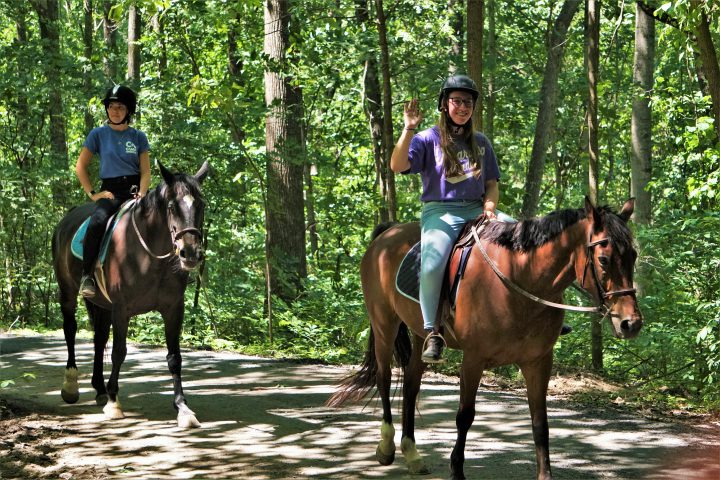 Trail Rides in Harrisonburg