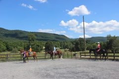 Group Horseback Riding Lesson