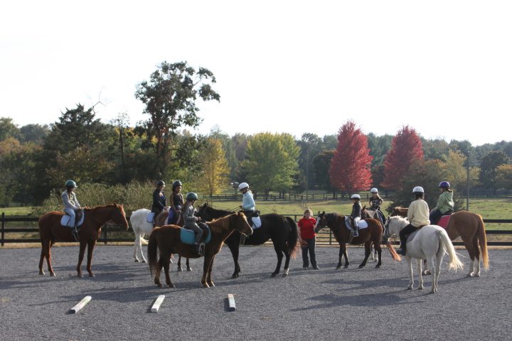 A group of horses and riders meet in the middle of the ring.